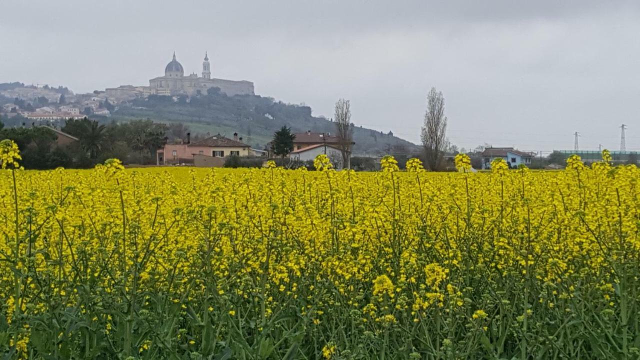 Villetta Del Conero Porto Recanati Eksteriør billede